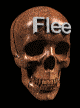 Homepage Icon
